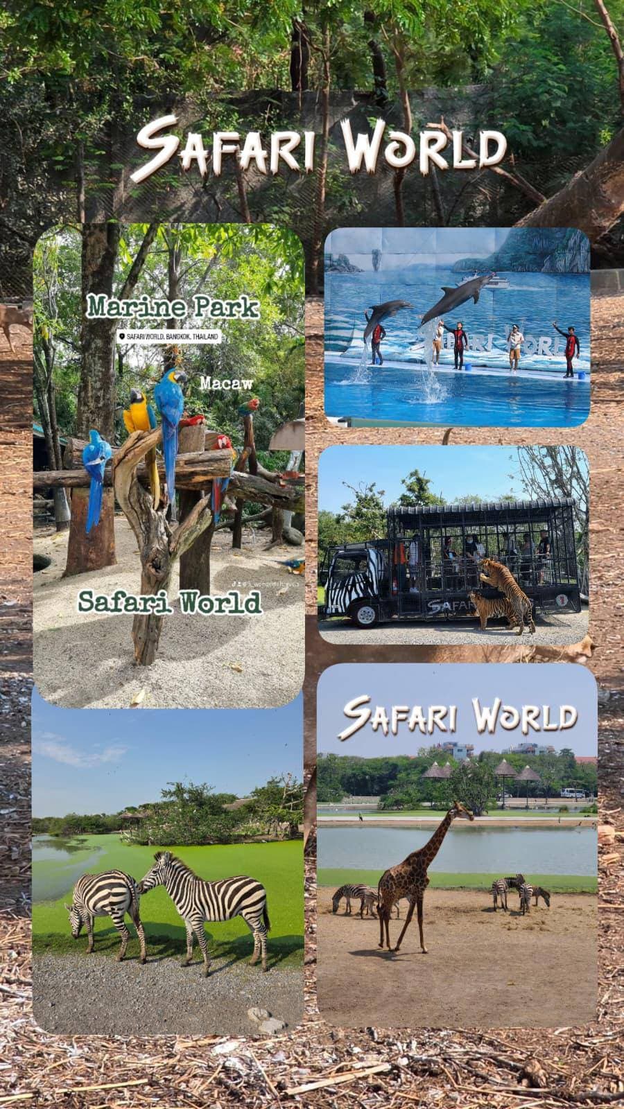 Safari World & Marine Park photo 1