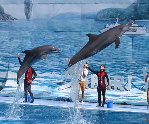 Safari World & Marine Park photo 4