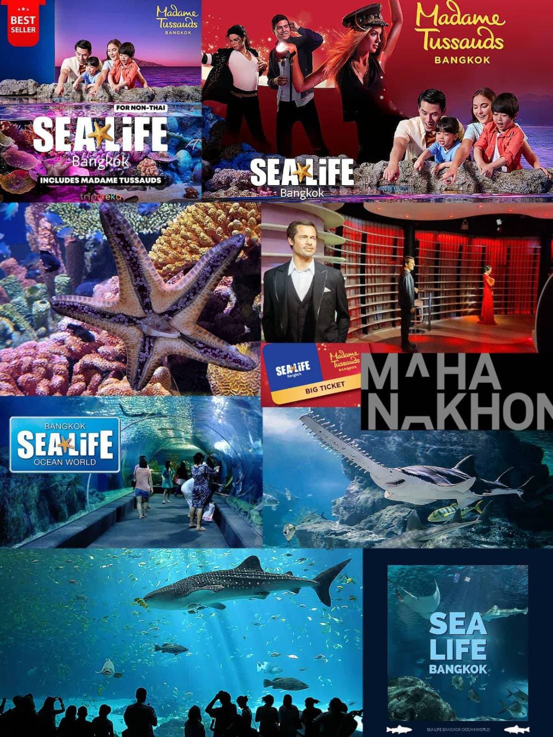 Sea Life Bangkok Ocean World photo 5
