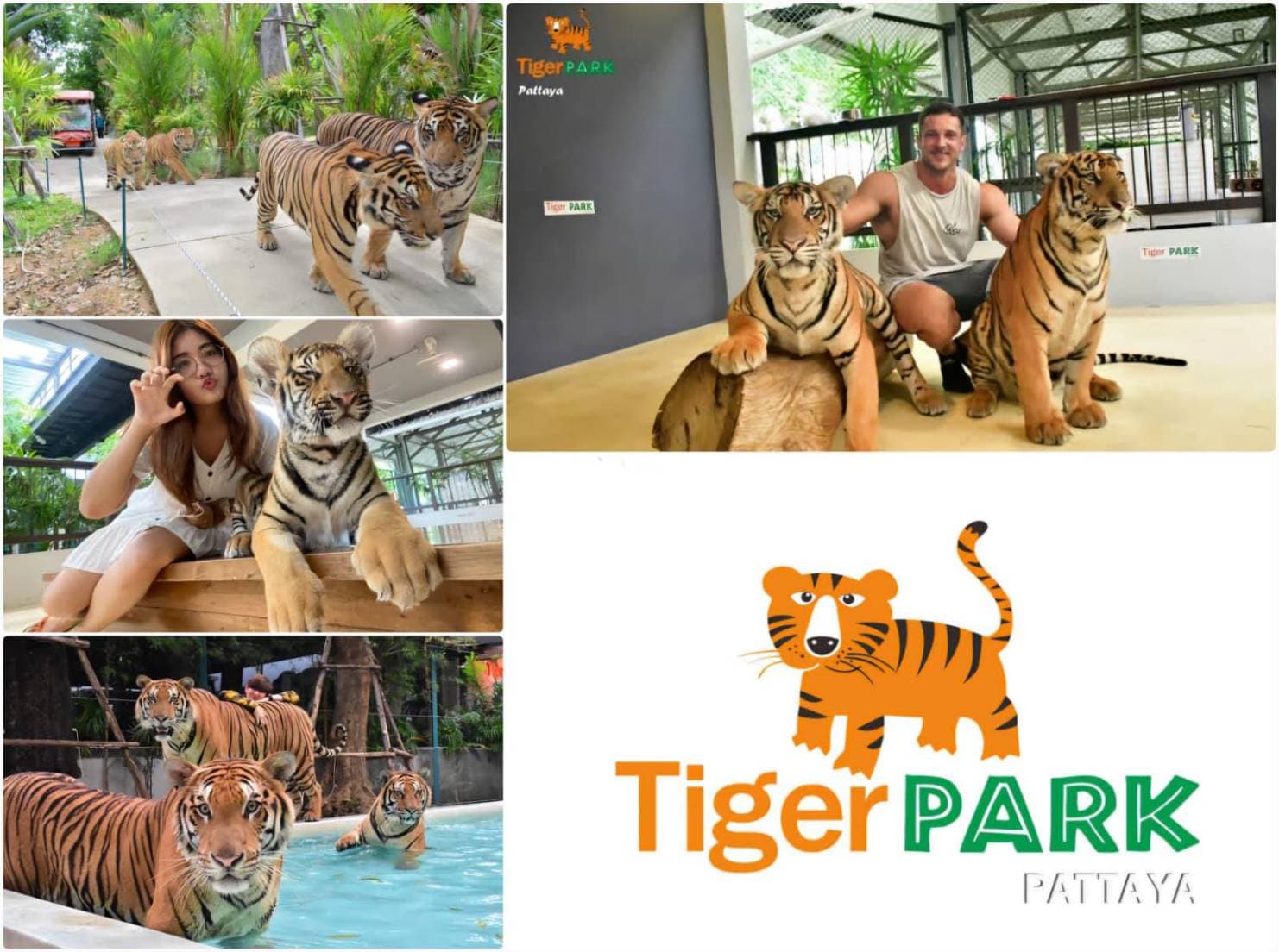 Tiger Park Pattaya