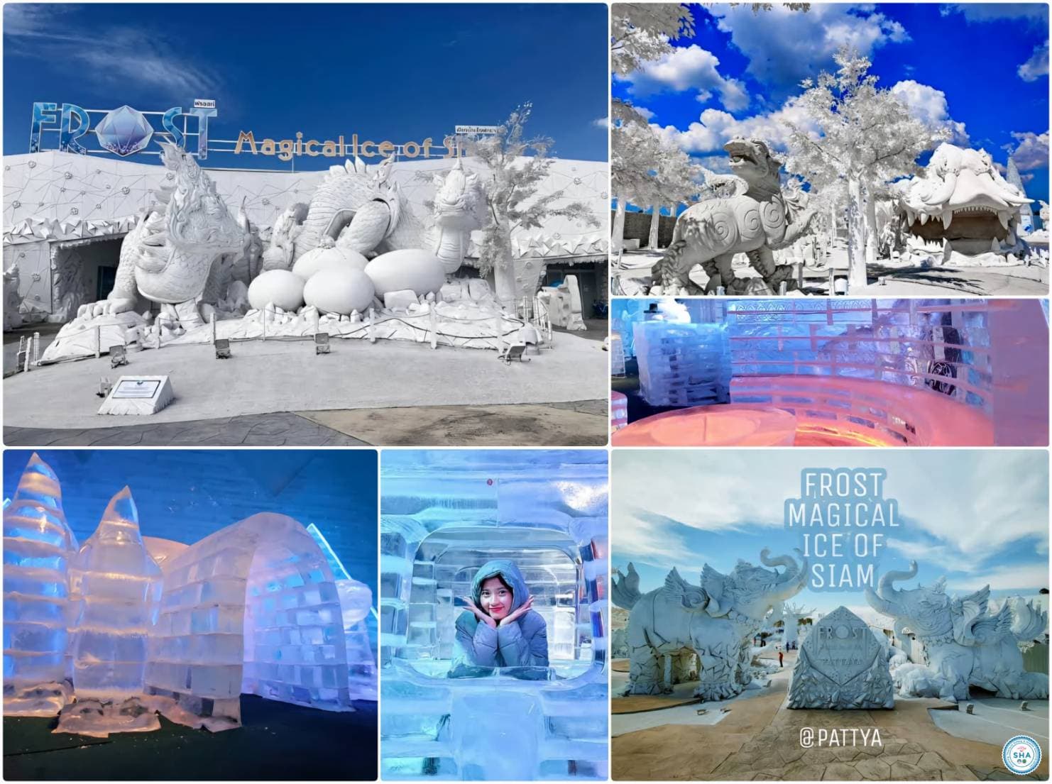 Frost Magical Ice of Siam