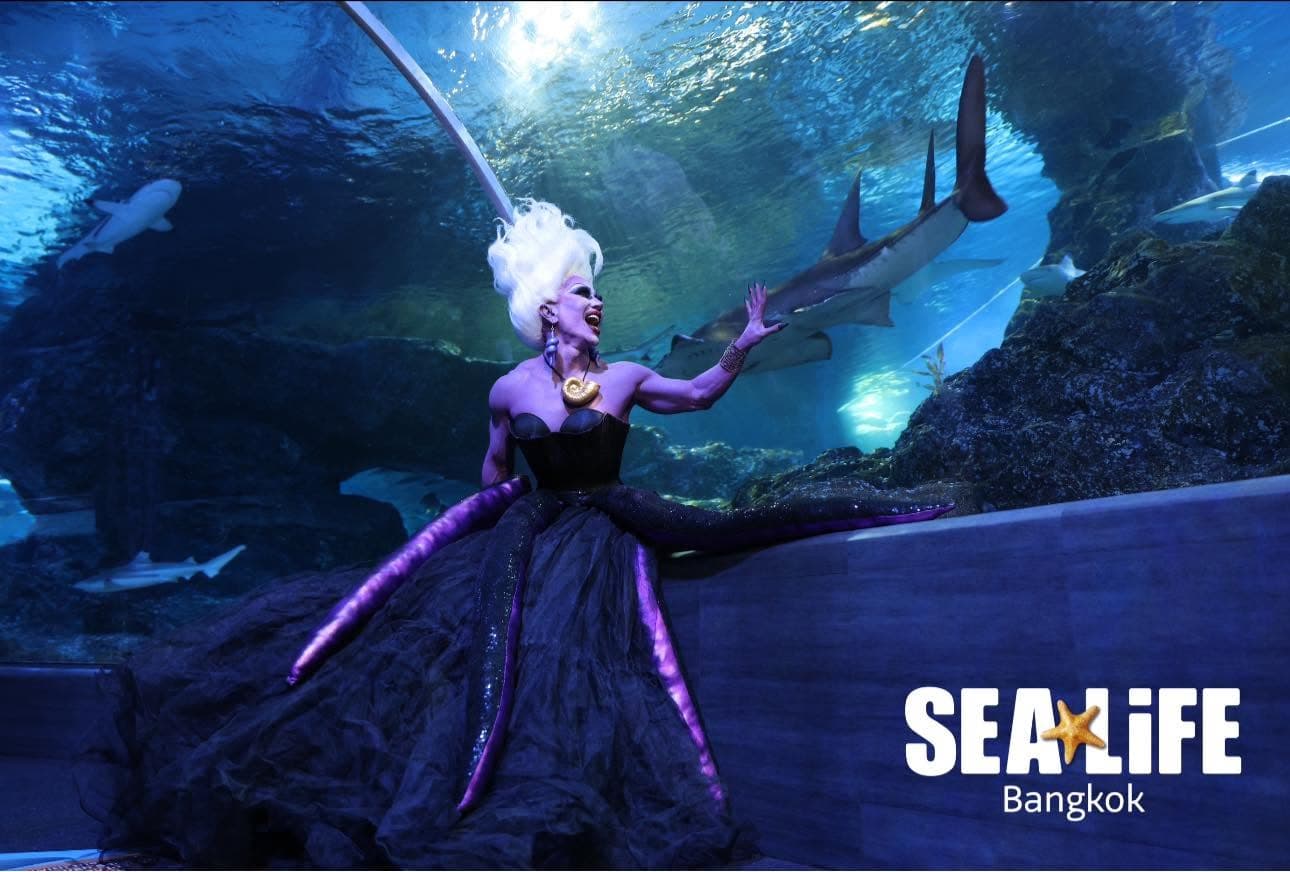 Sea Life Bangkok Ocean World photo 7