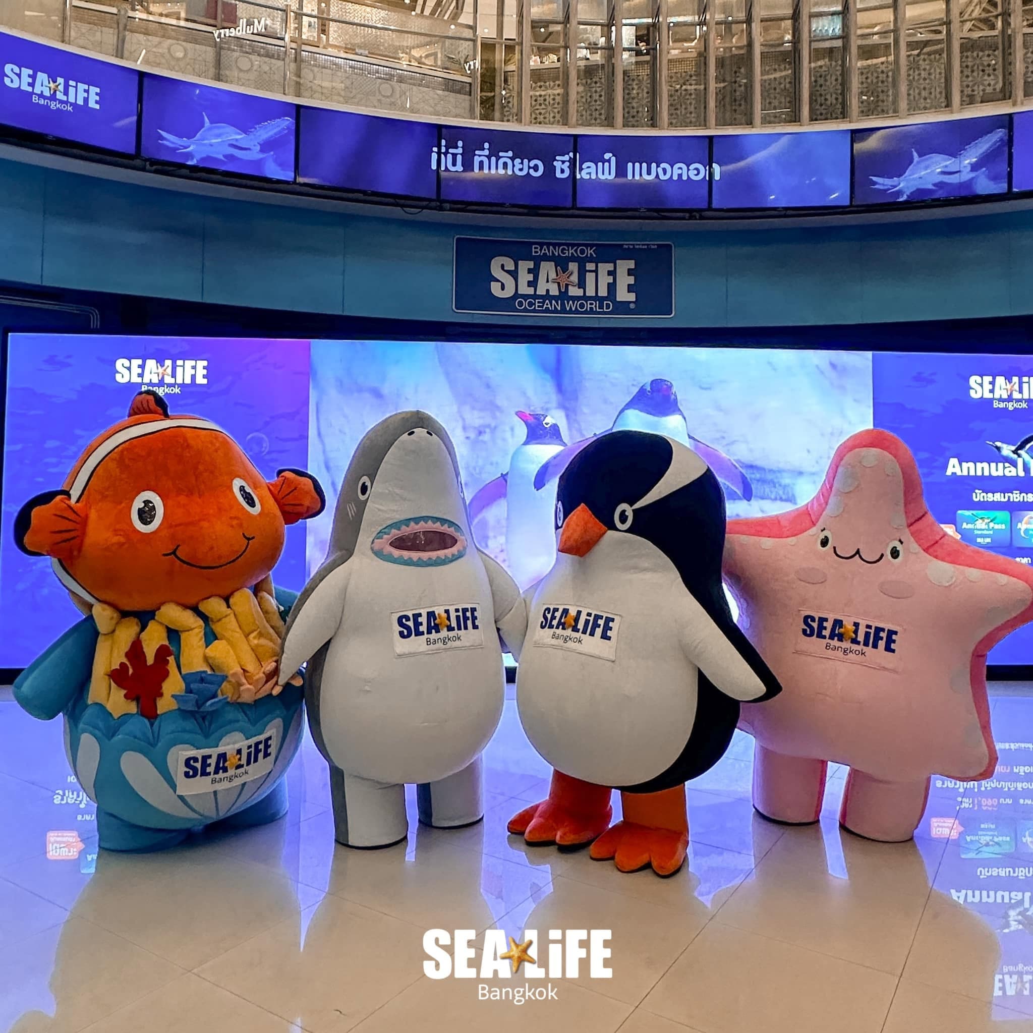 Sea Life Bangkok Ocean World photo 9