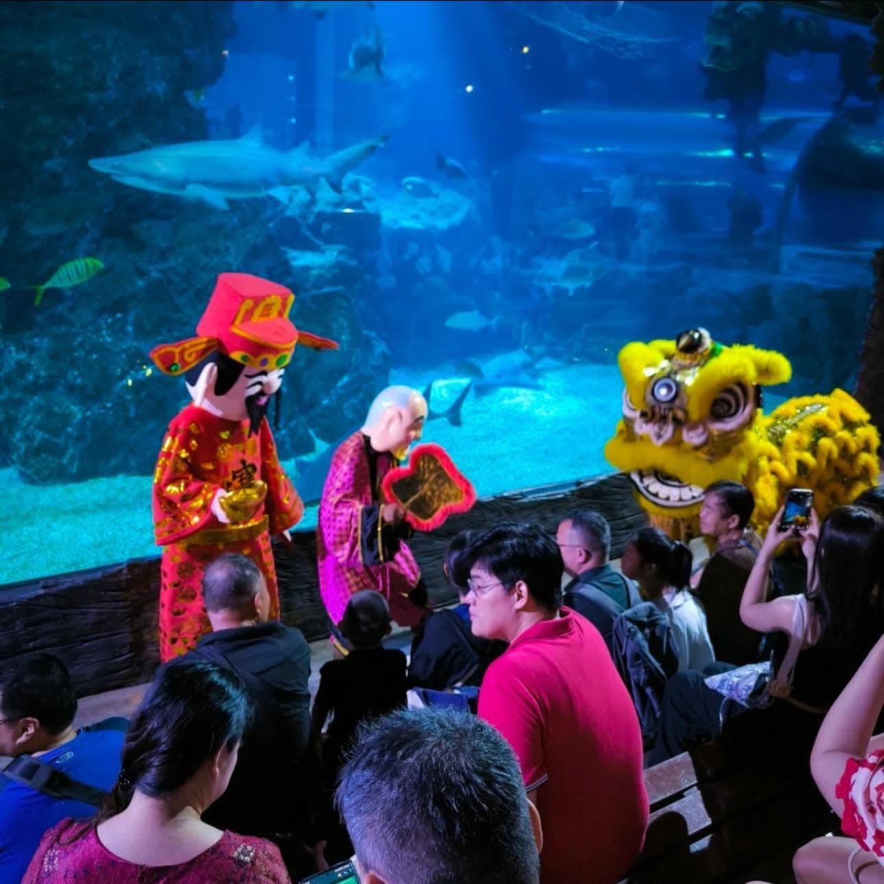 Sea Life Bangkok Ocean World photo 11