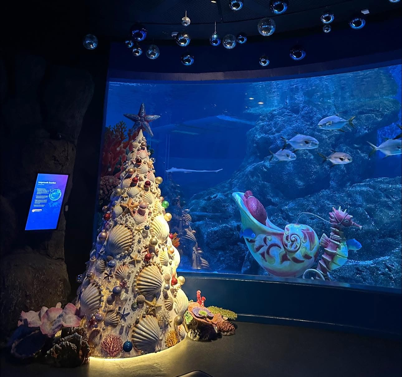 Sea Life Bangkok Ocean World photo 14