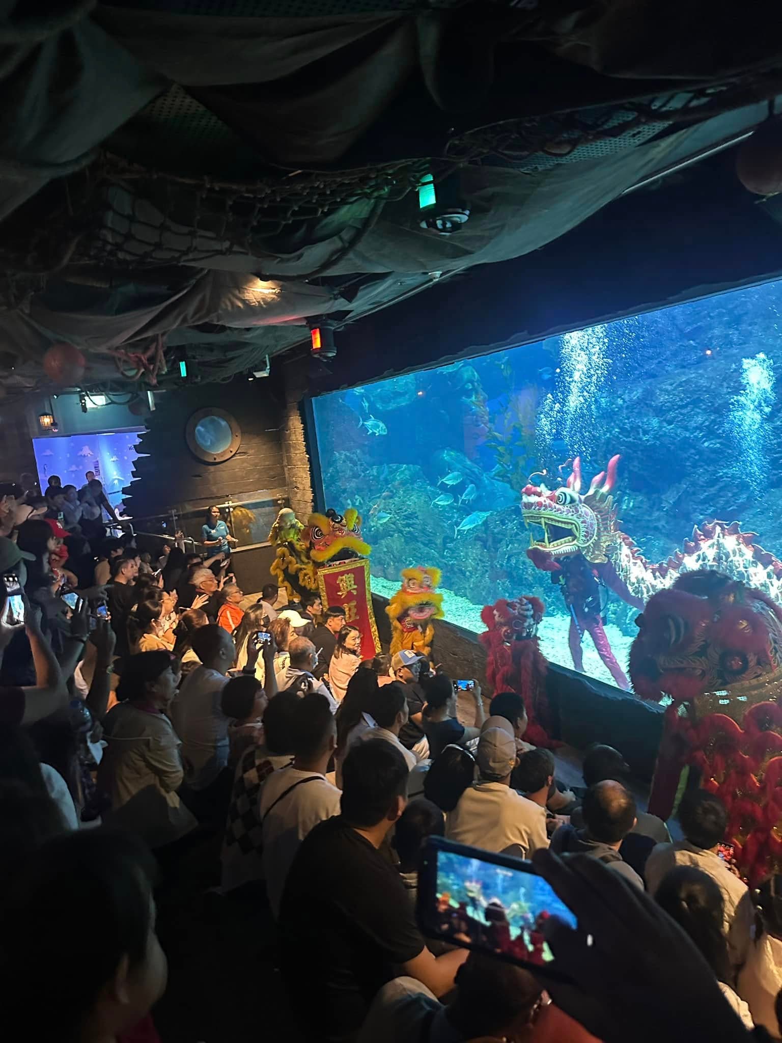 Sea Life Bangkok Ocean World photo 15