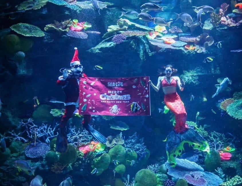 Sea Life Bangkok Ocean World photo 17