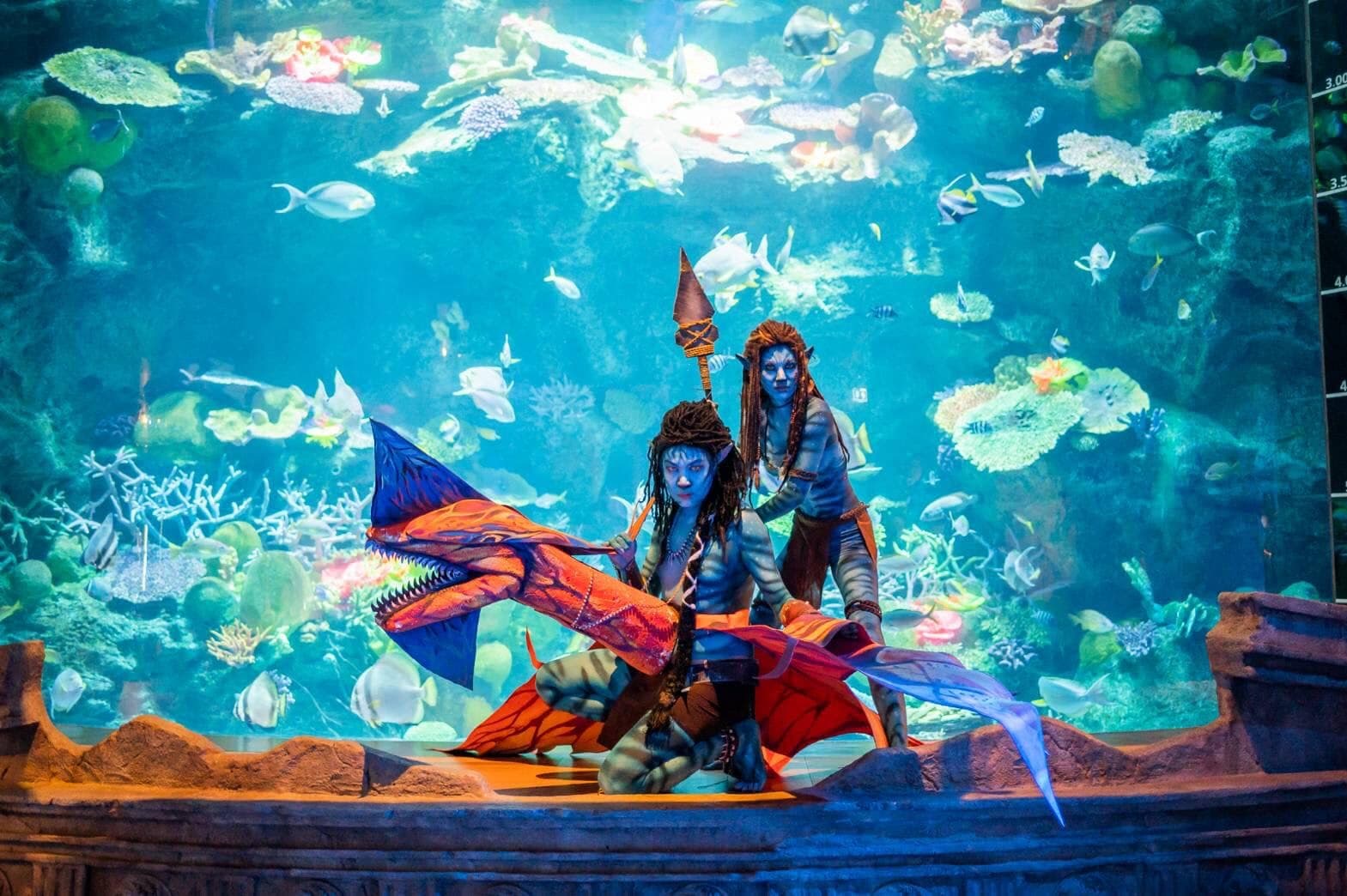 Sea Life Bangkok Ocean World photo 18