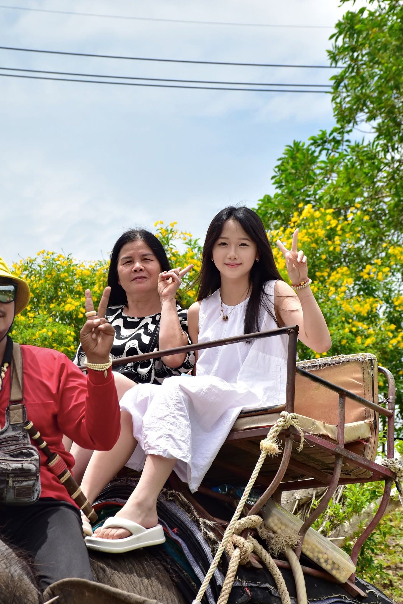Chang Thai Thappraya Safari photo 4