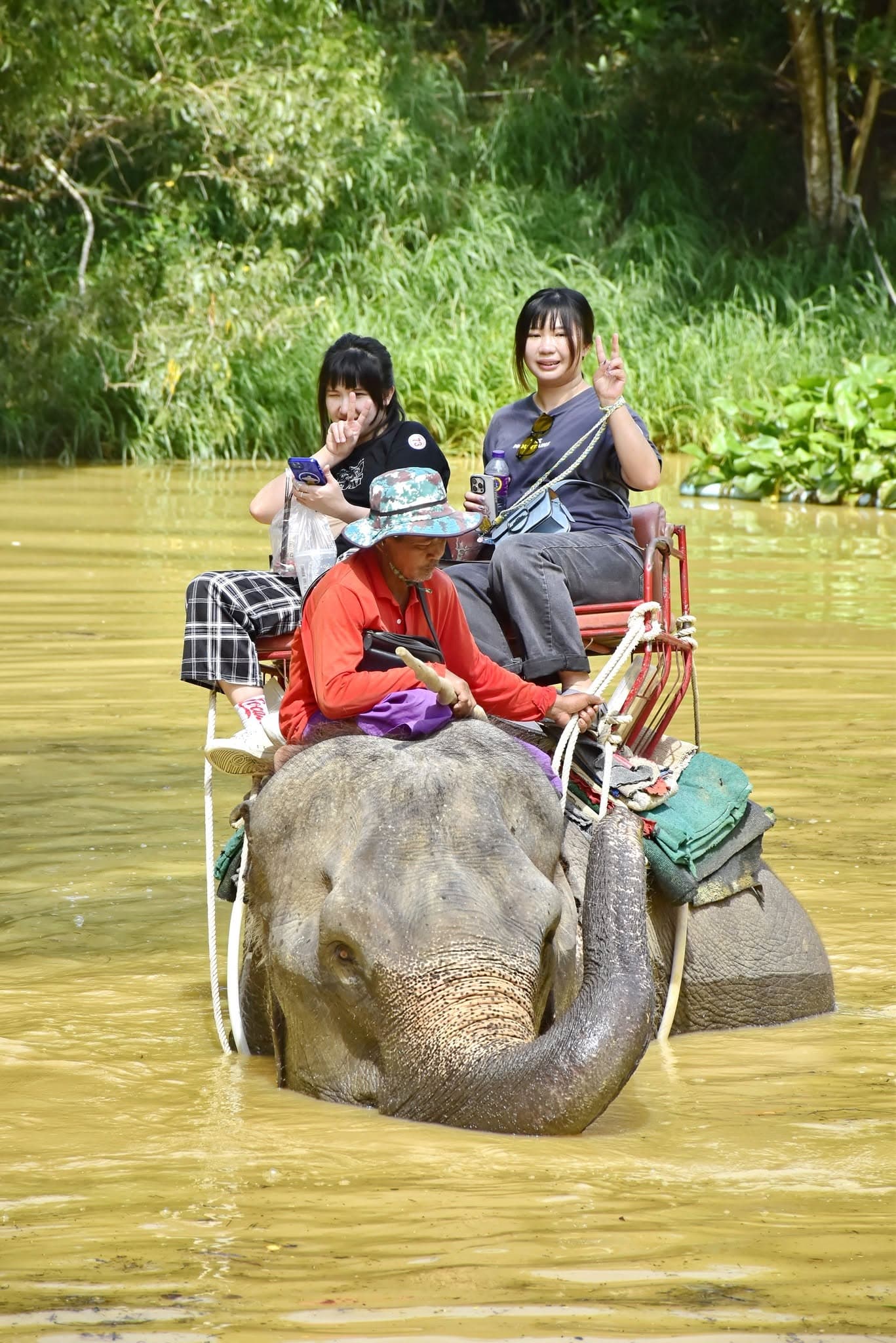 Chang Thai Thappraya Safari photo 5