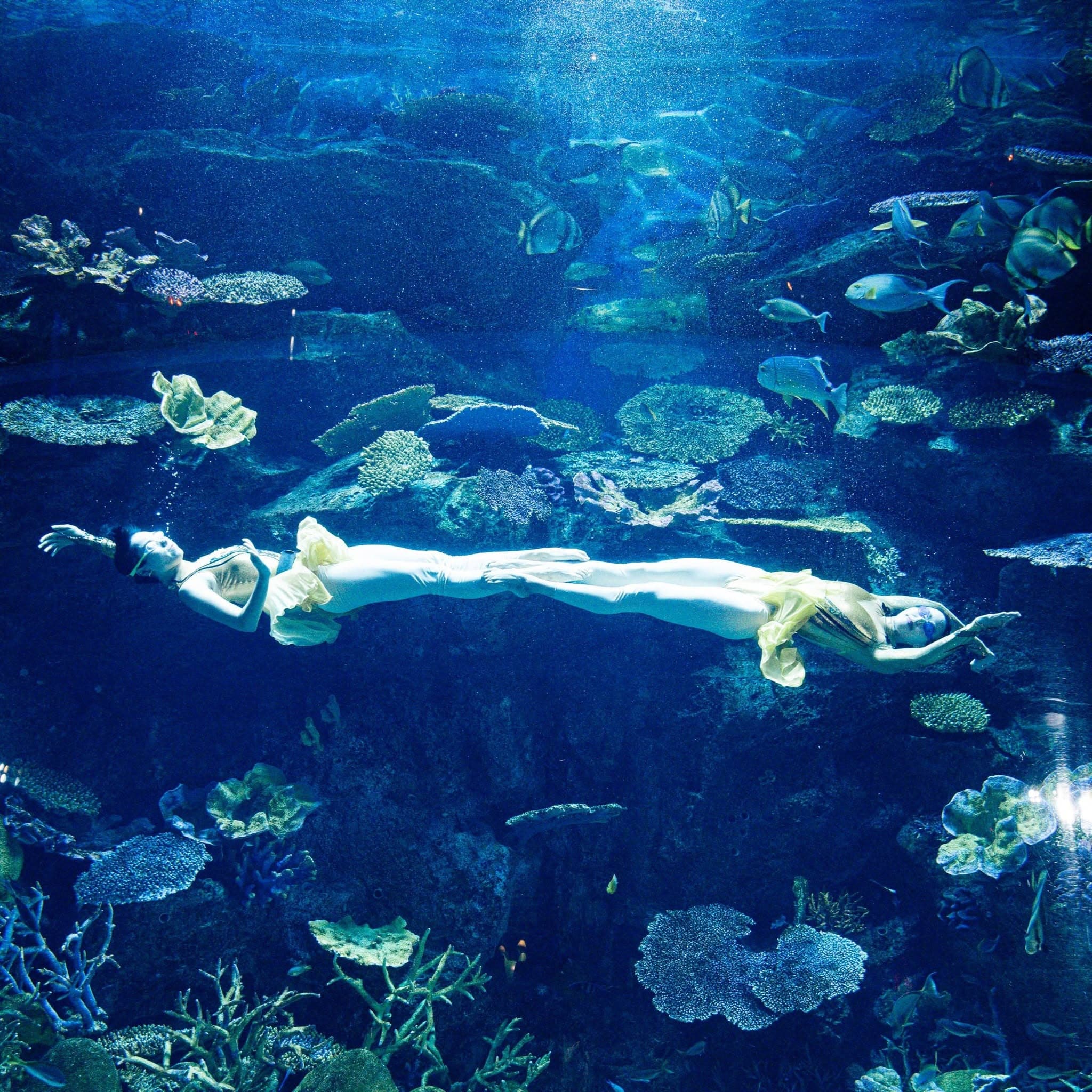 Sea Life Bangkok Ocean World photo 23