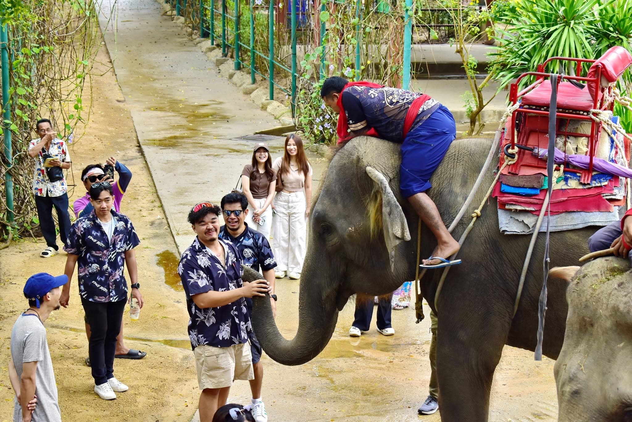 Chang Thai Thappraya Safari photo 15