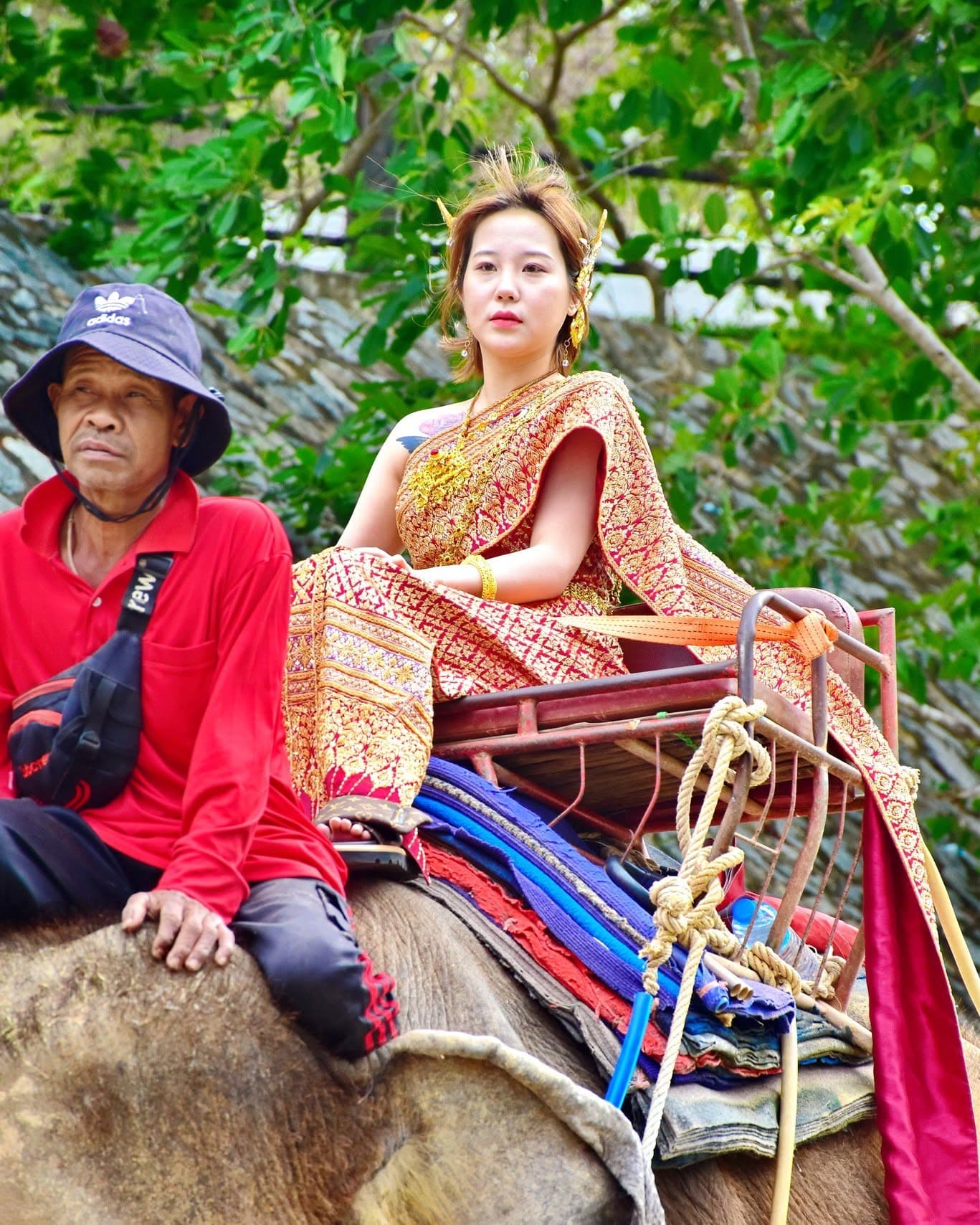 Chang Thai Thappraya Safari photo 16