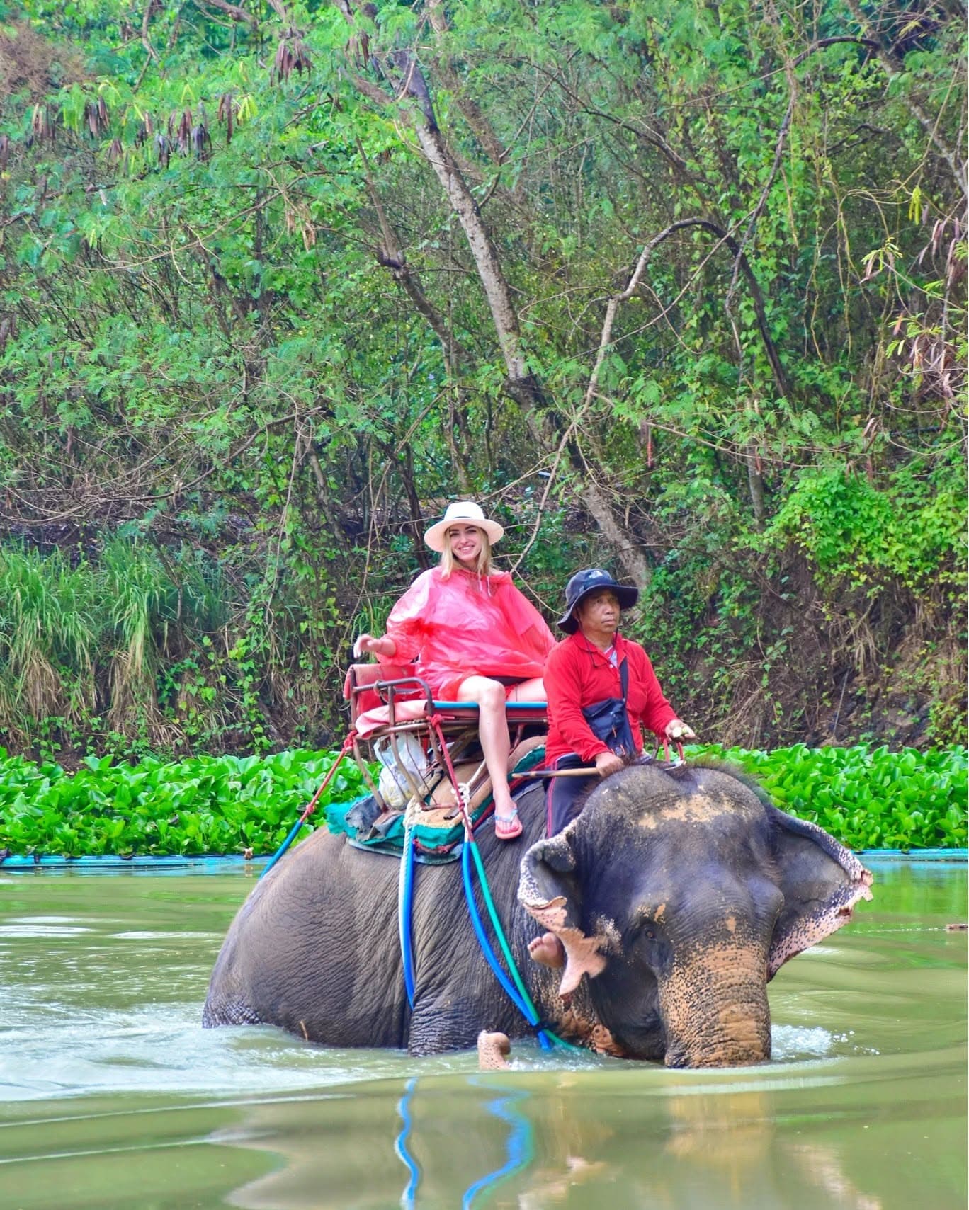 Chang Thai Thappraya Safari photo 19