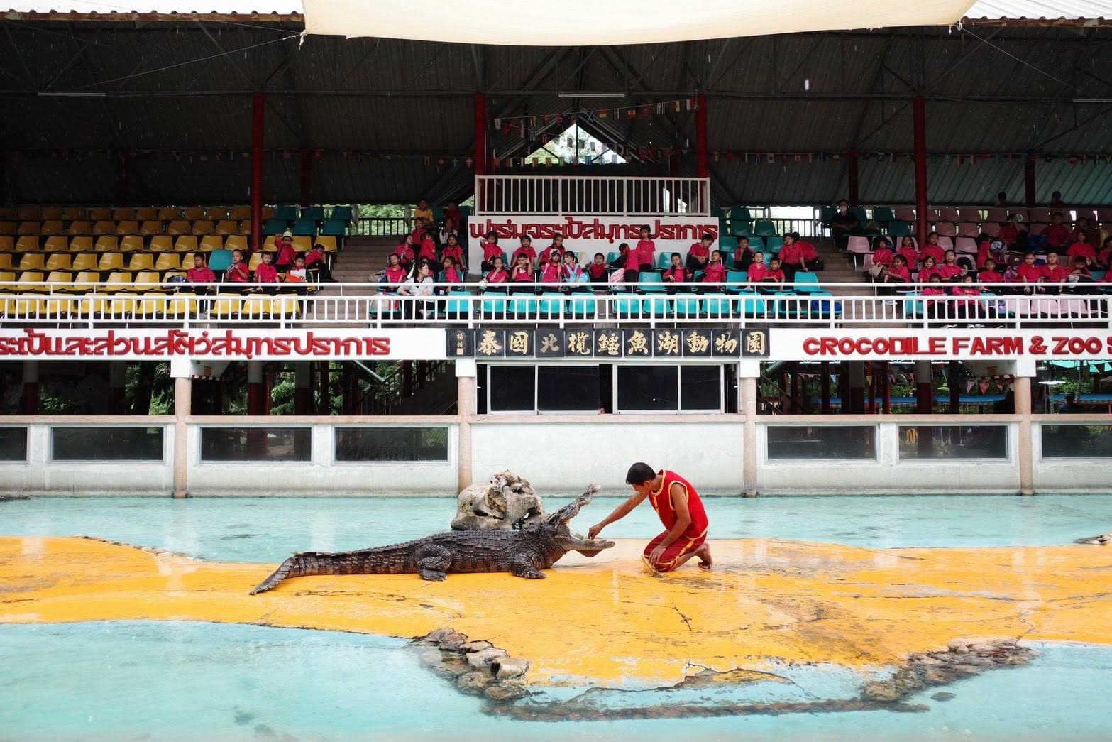 Samut Prakan Crocodile Farm & Zoo photo 22