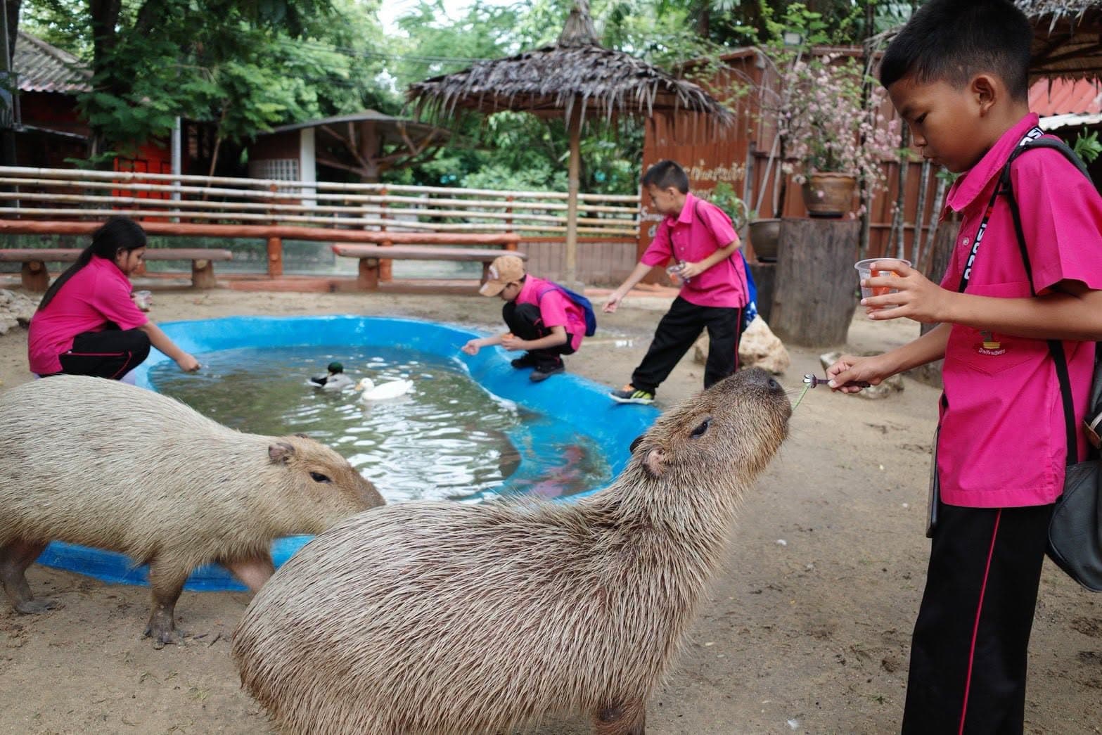 Samut Prakan Crocodile Farm & Zoo photo 23