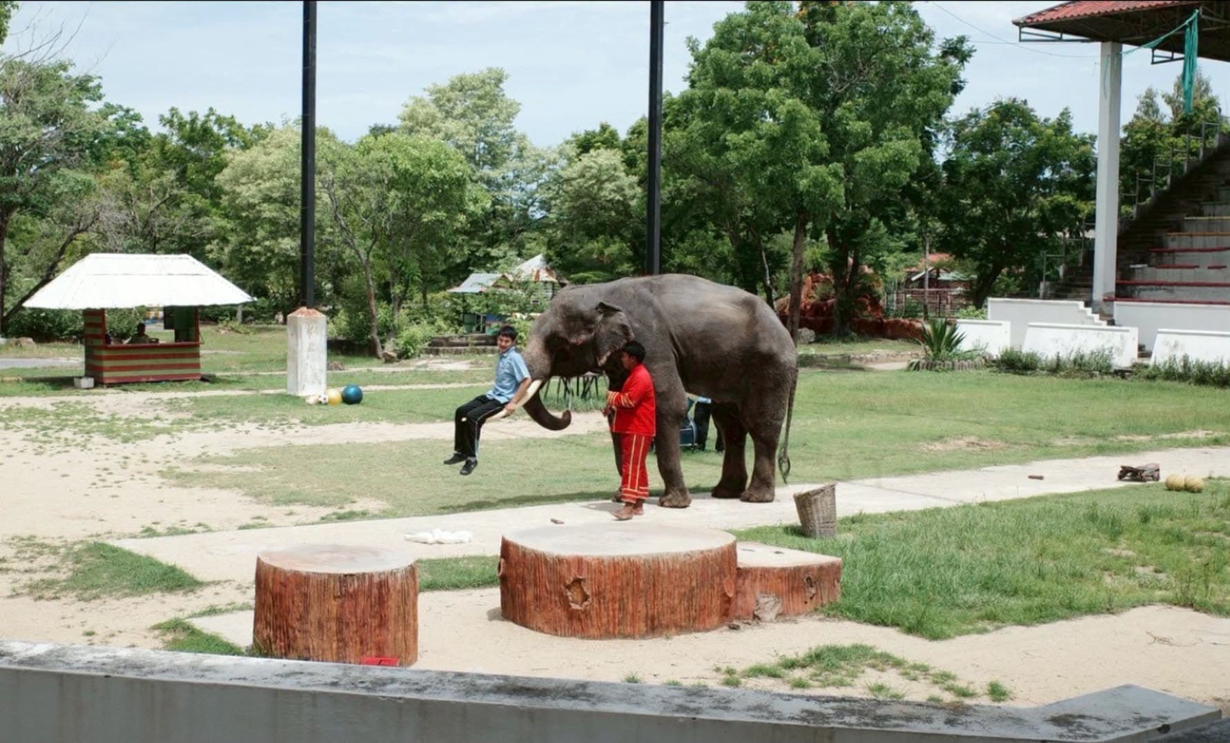 Samut Prakan Crocodile Farm & Zoo photo 26