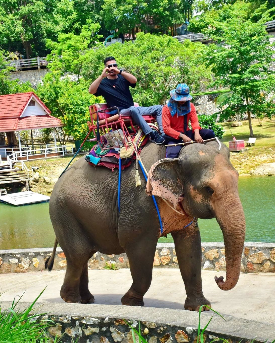 Chang Thai Thappraya Safari photo 34