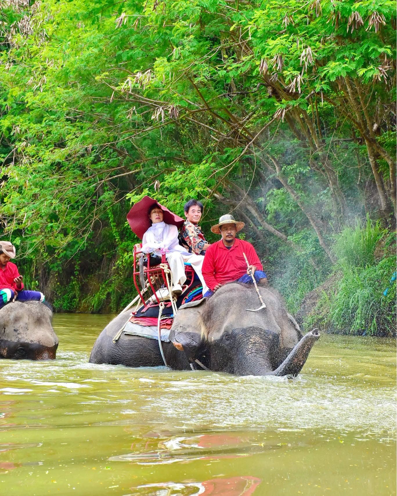 Chang Thai Thappraya Safari photo 35