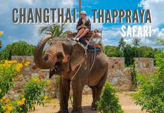 Chang Thai Thappraya Safari photo 2